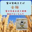 贈り物に！！富士宮産地粉100％使用した富士宮やきそば【金麺】8食セット！ ランキングお取り寄せ