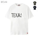 Dickies ディッキーズ 半袖Tシャツ クルーネック プリント Tシャツ・カットソー トップス ポケット付き ゆったり アメカジ Dickies(ディッキーズ) ルーズポケット付きTシャツ 8274-6731D 春物 春夏 配送B