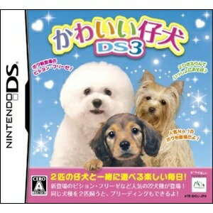 14OFFZ[!![100~OK]yVizyDSz킢eD..