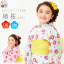 100cm?140cmまで対応「キ・ス・ミ・ス」こども浴衣 - 椿桜(7X-31/7X-32)- 全2色 綿 キスミス kids キッズ 子供 ゆかた kids浴衣 可愛い ピンク 水色 椿 桜 撫子 花 花柄 格子 100cm 110cm 120cm 130cm 140cm 【あす楽】