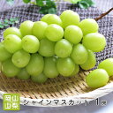 【皮ごと食べれる】 山梨・岡山県産 シャインマスカット 1房...