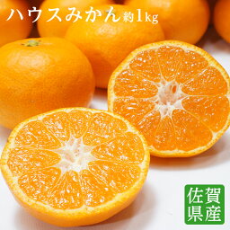 【のし対応可】 送料無料 佐賀県産 唐津 <strong>ハウスみかん</strong> S-Mサイズ 約1kg みかん 送料無料 みかん 糖度 ハウスミカン 贈答 プレゼント 内祝い 出産祝い フルーツギフト ギフト お中元 食べ物