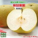 【送料無料】鳥取産 秋甘泉梨10〜16玉 約5kg【秋甘泉梨...