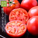 【送料無料】高知県産 徳谷トマト約700g【フルーツトマト 高知 トマト 送料無料 ギフ