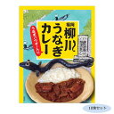 ご当地カレー 福岡 柳川うなぎカレー(うなぎパウダー入り) 10食セット【送料無料】クーポン 配布中 【メーカー直送 代引き・期日指定・ギフト包装・注文後のキャンセル・返品不可 ご注文後確認時に欠品の場合、納品遅れやキャンセルが発生します。】