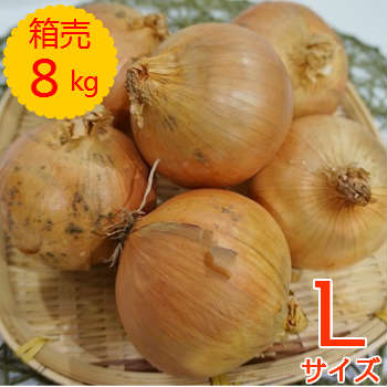 https://thumbnail.image.rakuten.co.jp/@0_mall/madokafarm/cabinet/setsumei/1bn125.jpg?_ex=500x500