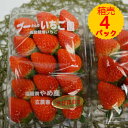 【送料無料】箱売 いちご イチゴ さがほのか 1箱4パック