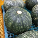 【送料無料】【国産】【九州産】箱売 かぼちゃ(南瓜 カボチャ) 1箱10kg(4~7玉)