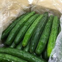 10%OFF 【九州産】単品 きゅうり(キュウリ) 1kg