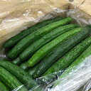 【九州産】箱売り きゅうり(キュウリ) 1箱(5kg) 業務用、まとめ買いに