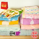 新生活応援 メガ盛り ハーフケットやタオルが合計9点入る!【送料無料】あったか毛布&動物柄タオル福袋 (柄カラーおまかせ)【コンビニ受取対応商品】【あす楽】