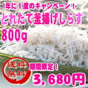 【送料無料!年に1度のキャンペーン】和歌山産!春のとれたて釜揚げしらす 800g【smtb