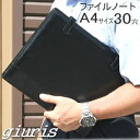 ファイルノート(A4-30穴) ルーズリーフファイル バインダー