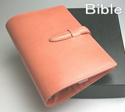 ߸˸¤ꡣܳפĤμĢBTԥ󥯡ƥĢХ֥륵