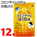 【即納可】コエンザイムQ10α 12個広貫堂 廣貫堂