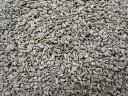【スパイス】 Ajwain Seed アジワン(ホール) 500g