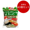 桜井食品 ベジタリアンのためのラーメン 醤油味 おまとめ買い(100g×40個)