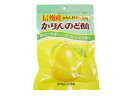 オレンジゼリー本舗 信州産 かりんのど飴 100g【2個までメール便可】