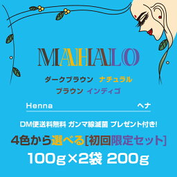 【ネコポス便送料無料】ヘナ初回限定セット 100g×2袋特Aランクヘナプレゼント＆使用手順書付き<strong>白髪染め</strong> 白髪染 白髪 染髪 ヘアカラー ヘナカラー ヘア カラー ヘナパウダー トリートメントヘアカラー ヘナ