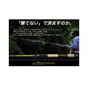 ノリーズ ロードランナー ヴォイス ジャングル【760JMH “JUNGLE STICK LIGHT”】