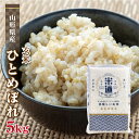 玄米 5kg 送料無料 白米 無洗米 ひとめぼれ 令和三年産 山形県産 5キロ お米 玄米 ごはん 単一原料米 保存食 米 真空パック