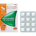 【指定第2類医薬品】ニコレット フルーティミント(24コ入) 禁煙補助剤