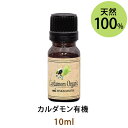 精油10%OFF★ネコポス送料無料 カルダモン有機10ml(オーガニック)(天然100%アロマオイル)スパイシーの中にレモンのような爽やかさのある香り(エッセンシャルオイル 精油 アロマテラピーCardamon)【10P08Jul17】