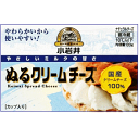 小岩井ぬるクリームチーズ 100g×【12個セット】