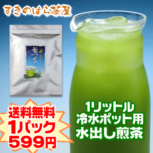 【送料無料】【お試し】【静岡産】1リットル緑茶が15本作れる水出し煎茶ティーバッグ7g入り×15袋【水出し茶】【水出し煎茶】【水出し緑茶】【深蒸し茶】 【メール便】【×日時指定】【×代引き】【2sp_120810_ blue】