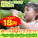 あす楽送料無料500ml用ティーバッグ【ペットボトルでつくるお茶】緑茶・烏龍茶・麦茶・玄米茶・紅茶・ほうじ茶はと麦茶から10パック選べる徳用セット水出し茶/水出し煎茶/水出し緑茶/冷茶ペットボトル用/マイボトル用/ティーパック 05P01Jun14