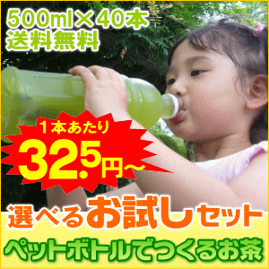 【送料無料】500ml水出し茶が最大40本作れる細長〜いティーバッグ「ペットボトルでつくる…...:makinoharacha:10000145