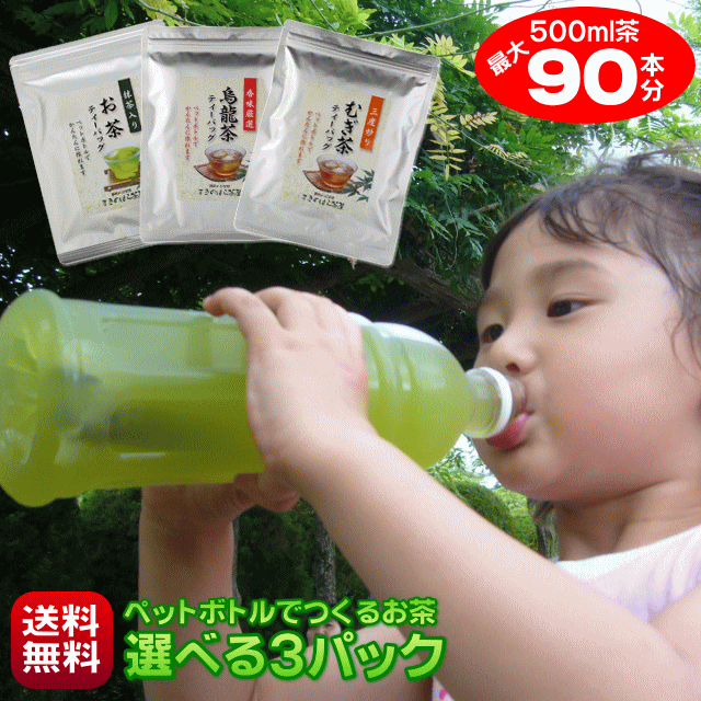 お茶 ティーバッグ 500ml 90本作れる 細長<strong>パック</strong> 1本あたり22円 ペットボトル 緑茶 烏龍茶 麦茶 玄米茶 ほうじ茶 はと麦茶 和紅茶 お好きなお茶を3種類選べる ティー<strong>パック</strong> 水出し緑茶 水出し茶 <strong>冷</strong>茶 無添加 抹茶 静岡茶 国産 お試し 送料無料 ポスト投函