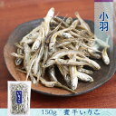小羽いりこ(愛媛県産)