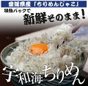 楽天総合ランキング入賞★宇和海ちりめんパック100g/愛媛県/宇和島/宇和海産/新鮮/ちりめん/ちりめんじゃこ宇和海のちりめんを召し上がれ！