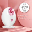 【送料無料】【ヘアバンド付き】フェイススチーマー スチーマー...