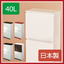 分別ダストボックス ペダル2段ワイド 40L ゴミ箱 ごみ箱 おしゃれ 40リットル ふた付き 屋外 分別 スリム キッチン オシャレ 日本製 リビング 北欧 インテリア雑貨 デザイン雑貨 モノトーン 見えない フロントオープン 生ごみ 生ゴミ 薄型 男前家具 男前インテリア アスベル