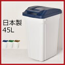 ハンドルペール 45L 45リットル ゴミ箱 ダストボックス ごみ箱 おしゃれ ふた付き 屋外 分別 キッチン オシャレ 日本製 リビング 北欧 インテリア雑貨 デザイン雑貨 モノトーン 見えない 生ごみ 生ゴミ 男前家具 男前インテリア 北欧テイスト オムツ おむつ アスベル