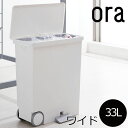 ゴミ箱 ふた付き ごみ箱 ダストボックス シンプル 白 ホワ...