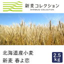 【季節限定】強力粉 新麦コレクション 新麦 春よ恋 2.5kg 北海道産小麦粉【国産小麦】_