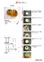 冷凍パン生地 業務用 ISM 菓子パン玉生地 1ケース 40...