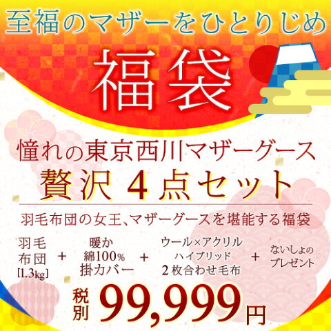 【2018福袋】新年から幸せに眠ろう。『マザーグースダウン』の贅沢なセット！人気のヒートコットンも選べる！福袋4点セットS 羽毛布団　ヒートコットン あたたか掛けカバー 掛けカバー シングル