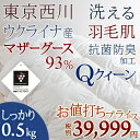 期間限定 ポイント10倍 7/6 8:59迄 東京西川 西川産業 羽毛肌掛け布団 クイーン 夏 ウ