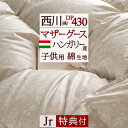 割引1500円クーポン★【掛布団カバー等特典付】西川 東京西川 リビング ジュニア布団 羽毛布団 1.0kg DP430 ハンガリー産マザーグースダウン93% 西川リビング ジュニアサイズの羽毛ふとん 日本製 羽毛掛け布団羽毛掛布団