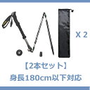 【2本セット】ODOLANDトレッキングステッキ 登山杖/ポ...