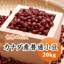 小豆 カナダ産普通小豆 20kg
