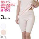 デミアン 綿100% コーマ糸使用 5分長ズロース 3枚セット M・L (レディース 婦人 インナー 下着 綿 コットン 吸湿 日本製 ズボン下 5分丈 ズロース) (婦人肌着)【取寄せ】