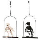 【フィギュア】スケルトン オウム カラス とまり木付き 【鳥 骨 置物 フィギュア ディスプレイ 】