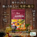 【公式】万田酵素 マルベリー 分包 ペーストタイプ(2.5g×31包)【送料無料】 酵素サ