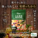 【公式】万田酵素 スタンダード 分包 ペーストタイプ(2.5g×31包)【送料無料】 酵素サプリ 酵素 万田発酵 万田酵素 ビワ びわ ペースト 分包 発酵食品 送料無料