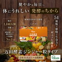 【公式】万田酵素 ジンジャー 粒タイプ(7粒×30包)【送料無料】 酵素サプリ 酵素 万田発酵 万田酵素 生姜 ショウガ しょうが 粒 発酵食品 送料無料